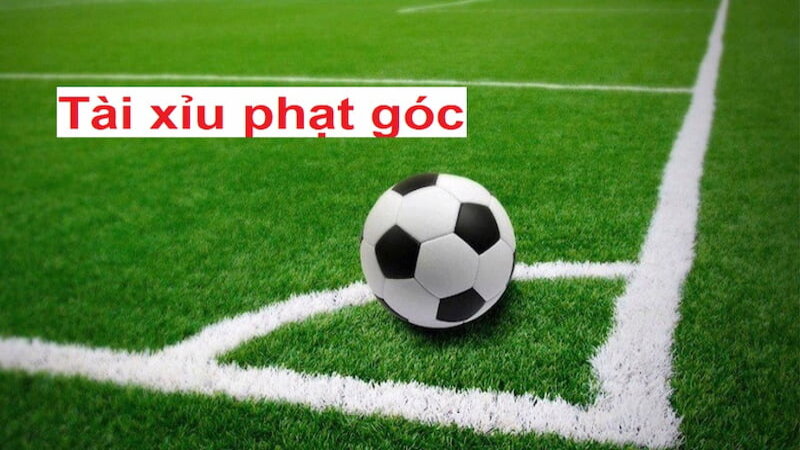 Giải thích khái niệm tài là gì và xỉu là gì trong kèo cược bóng đá